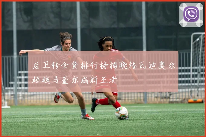 后卫转会费排行榜揭晓格瓦迪奥尔超越马奎尔成新王者