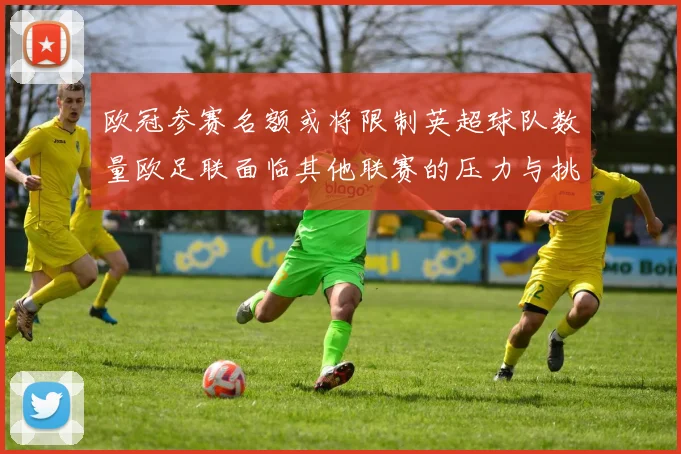 欧冠参赛名额或将限制英超球队数量欧足联面临其他联赛的压力与挑战
